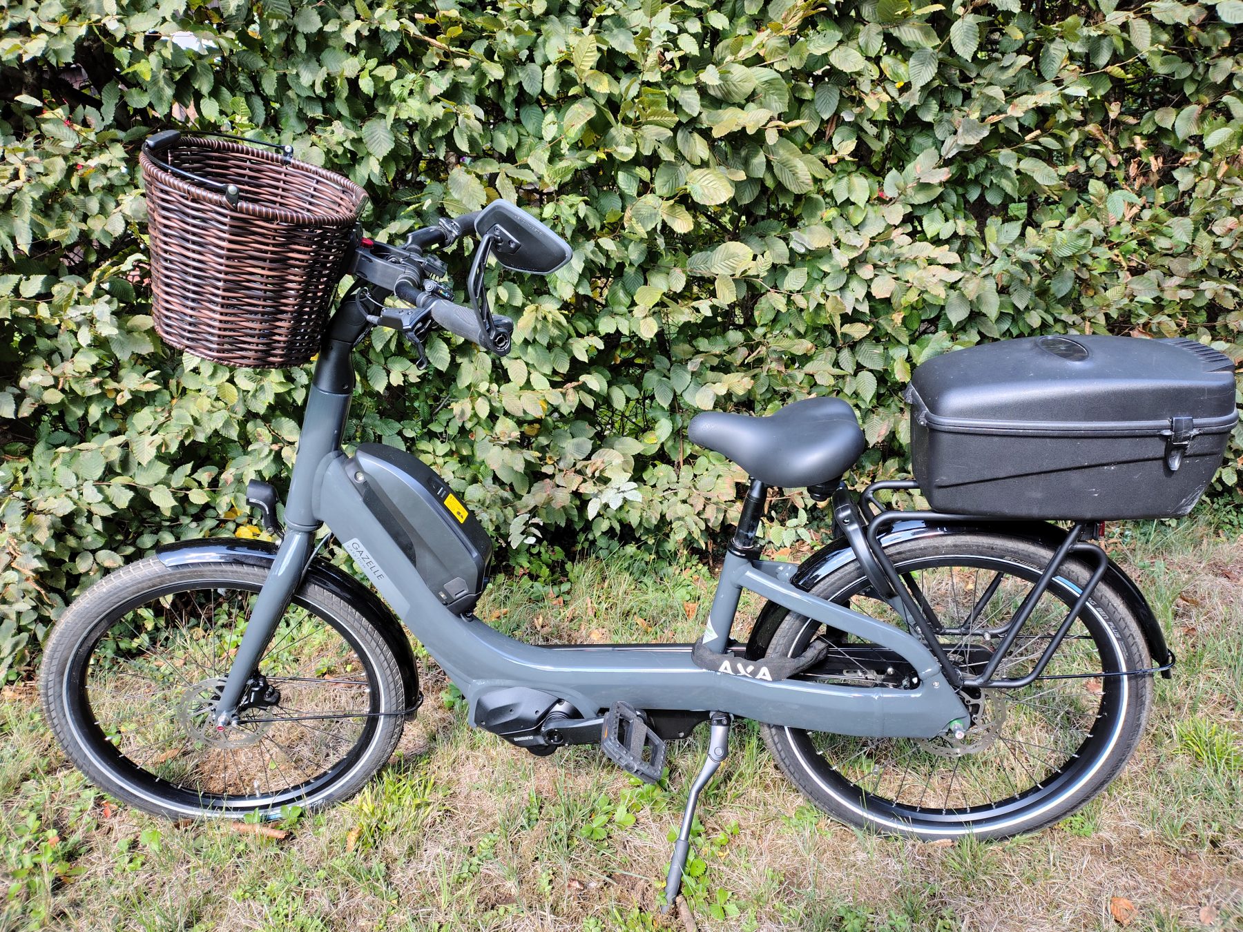 Gazelle Easyflow C8